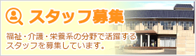 スタッフ募集